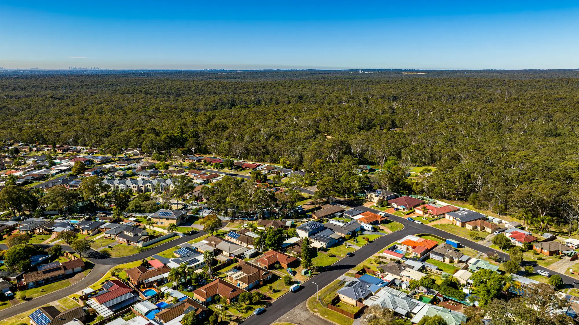 Aerial view of suburban houses bordering bushland